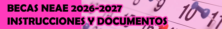 BECAS NEAE 2026-27 (actualizado a 07/06/2026)